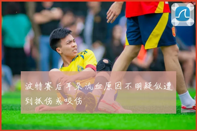波特赛后耳朵流血原因不明疑似遭到抓伤或咬伤